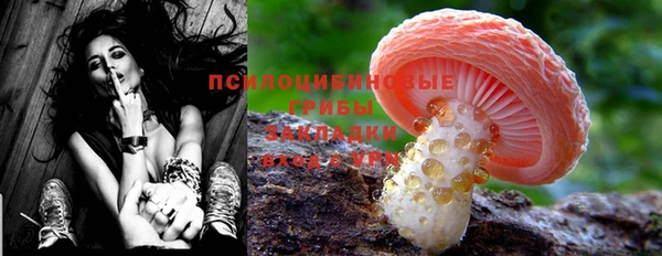 дурь Белокуриха