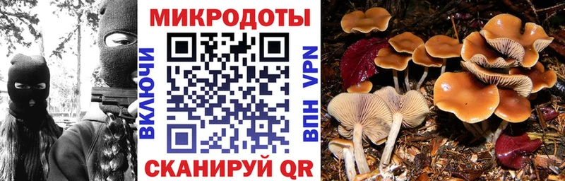 Псилоцибиновые грибы MAGIC MUSHROOMS  что такое   Курганинск 